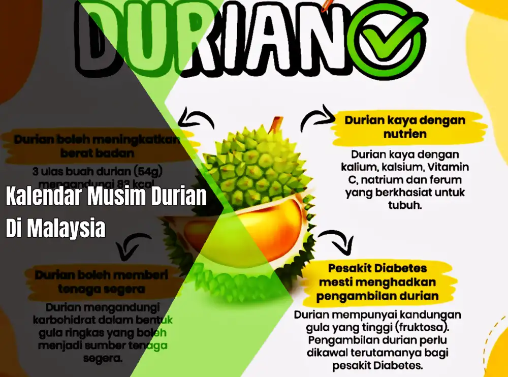 update musim durian