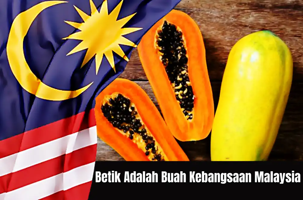 betik buah kebangsaan malaysia