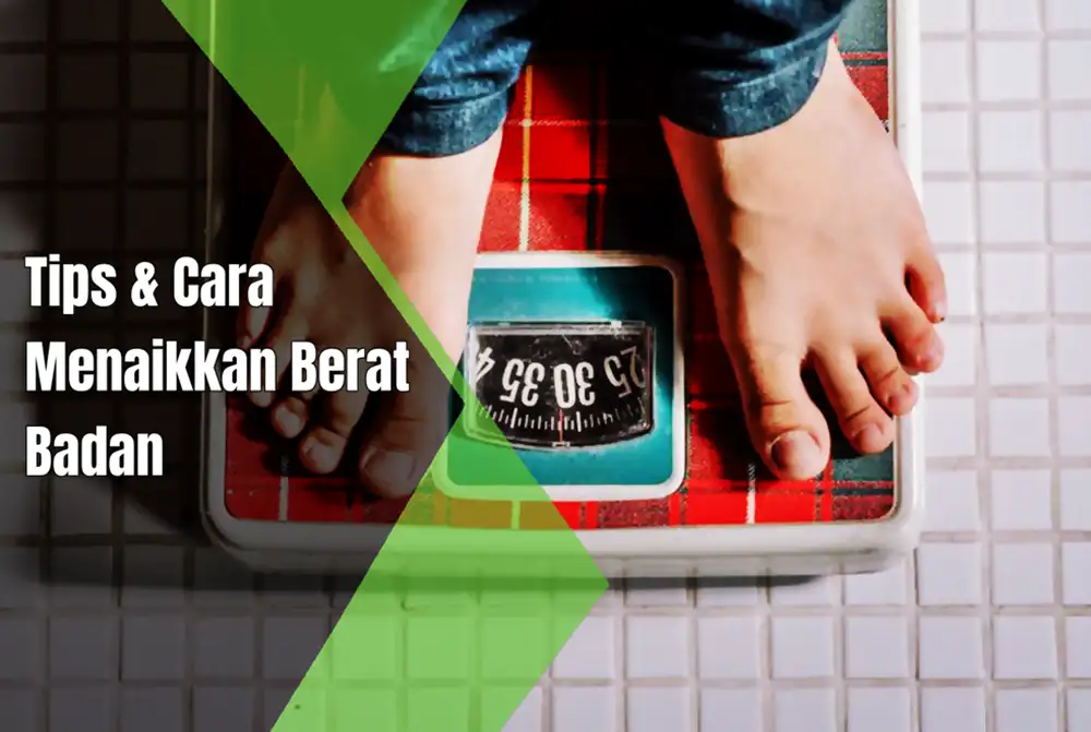 cara bagi badan gemuk