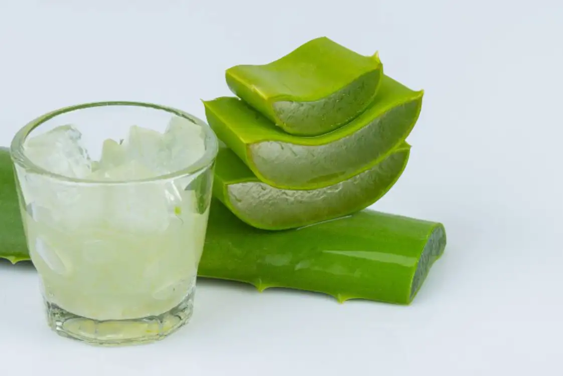 jus aloe vera